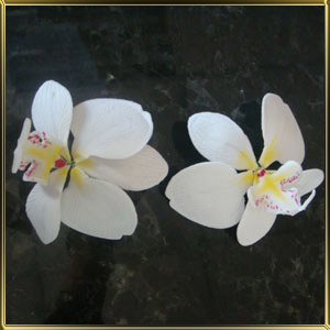 цветок Орхидея 90мм белая с розово-желтой серединкой 1шт. мастика сах.